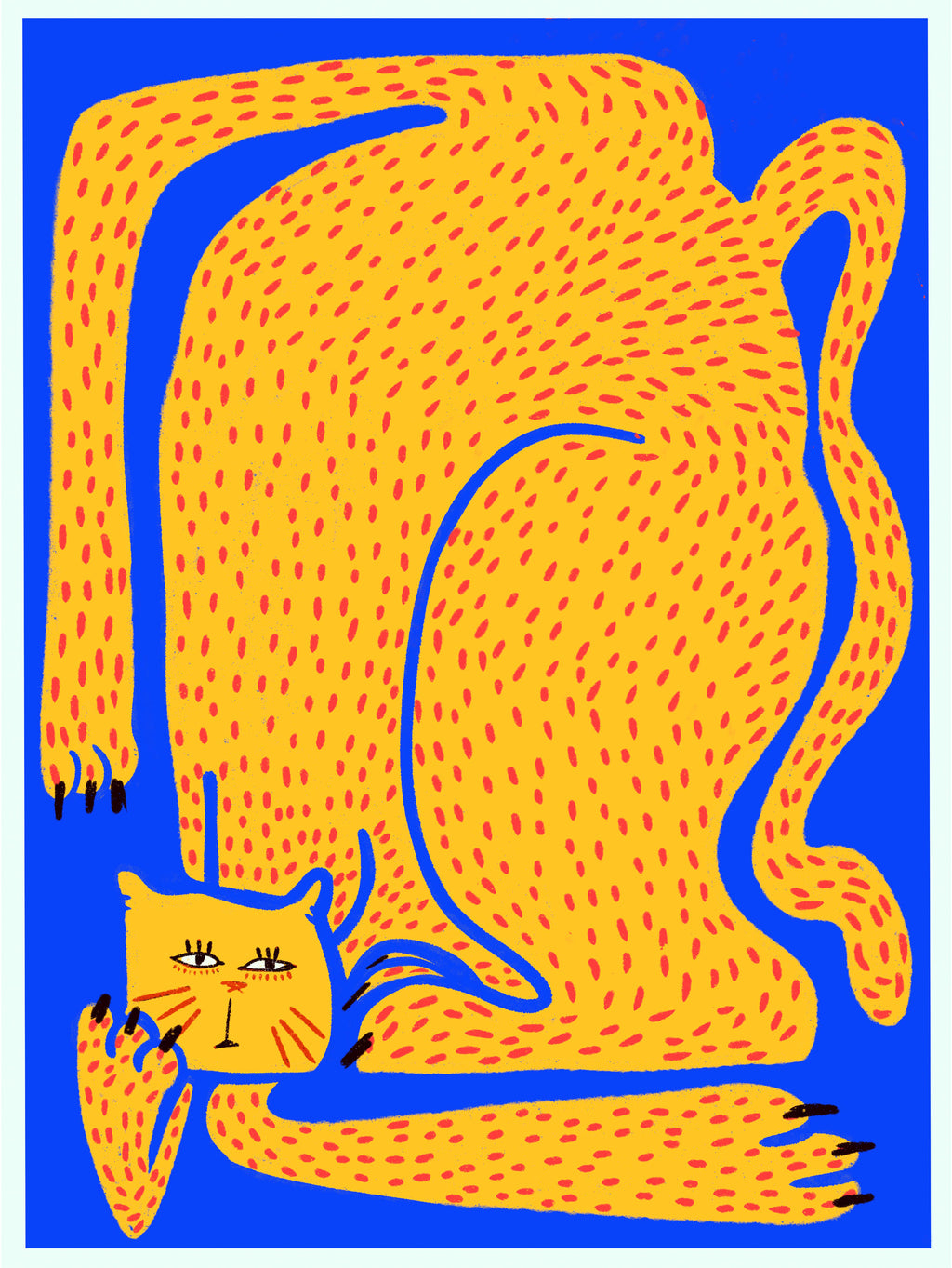 Funky Cat
